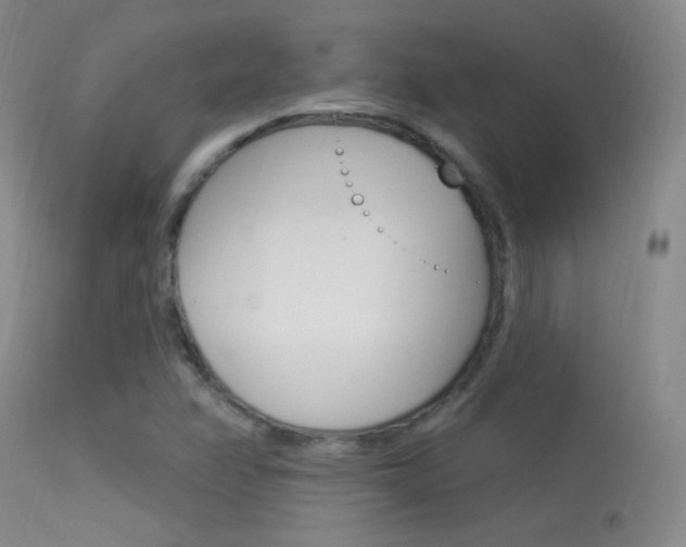 X0000113531358200909180950