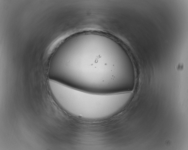 X0000113531359200909180950