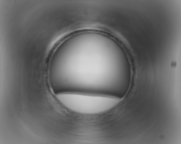 X0000113531360200909180950