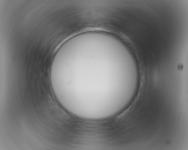 X0000113531361200909180950