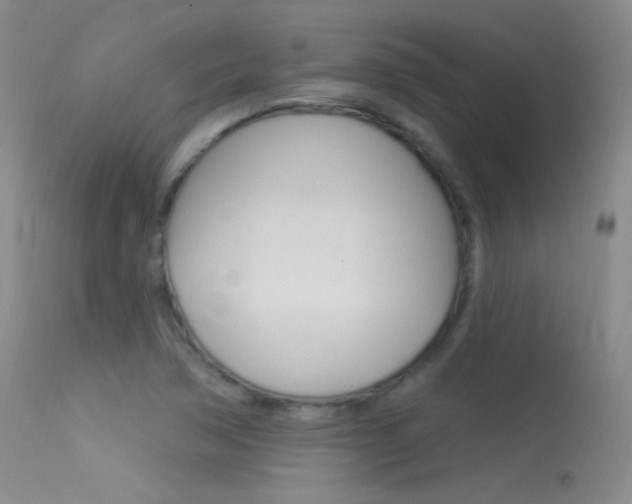 X0000113531362200909180950