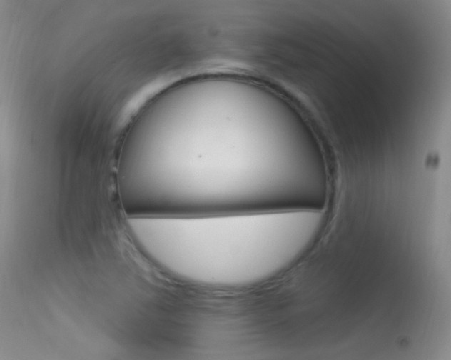 X0000113531363200909180950