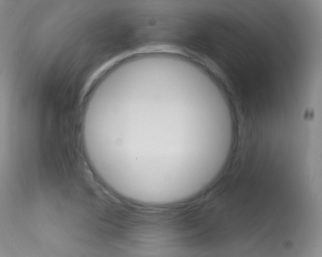 X0000113531364200909180950