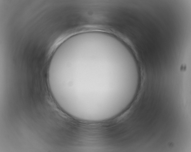 X0000113531365200909180950
