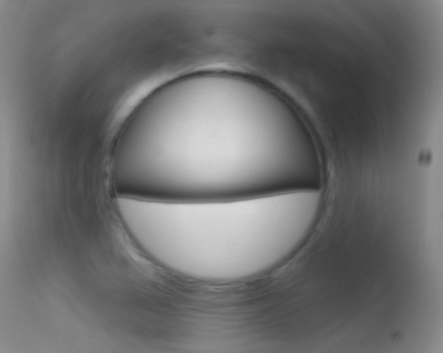 X0000113531367200909180950