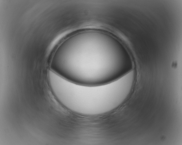 X0000113531368200909180950