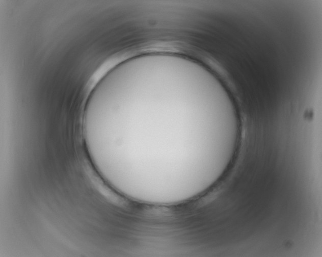 X0000113531370200909180950