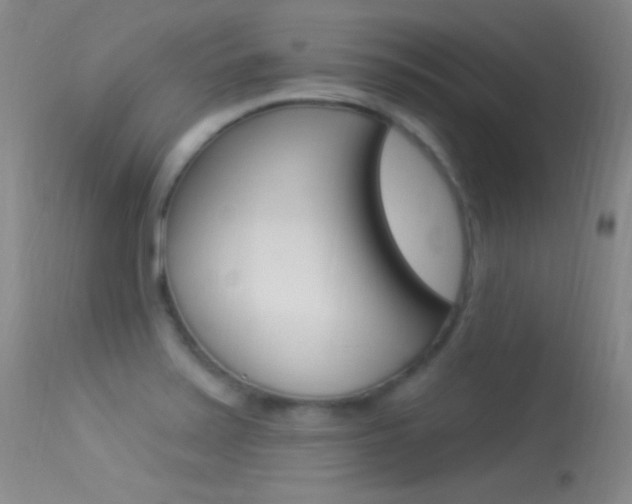 X0000113531371200909180950