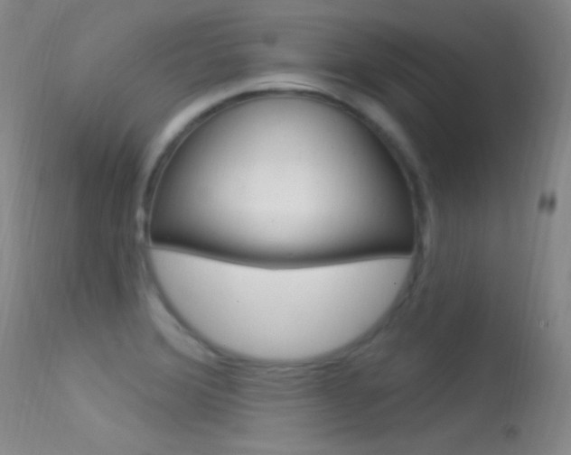 X0000113531372200909180950