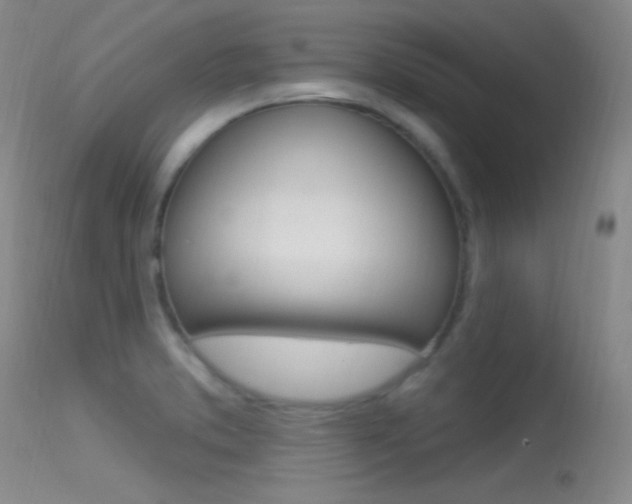 X0000113531373200909180950