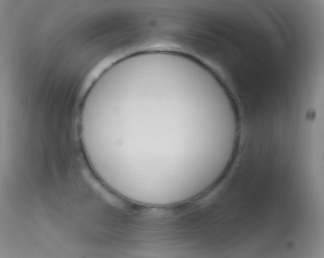 X0000113531374200909180950