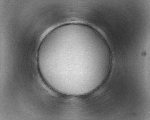 X0000113531375200909180950