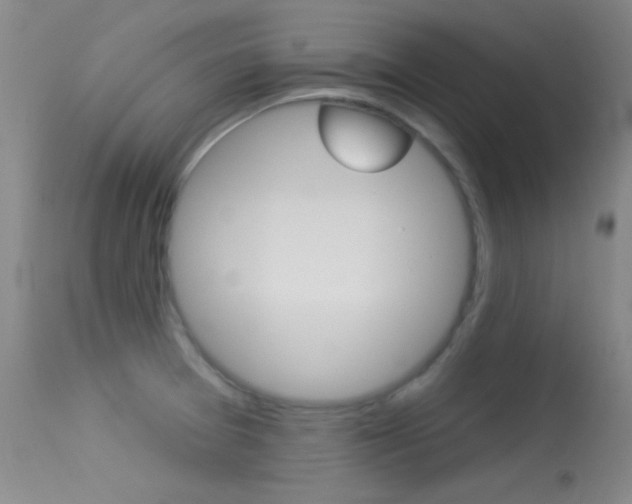 X0000113531377200909180950