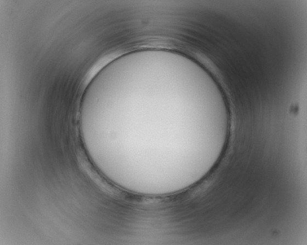 X0000113531378200909180950