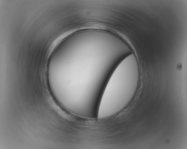 X0000113531379200909180950