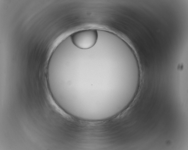 X0000113531381200909180950
