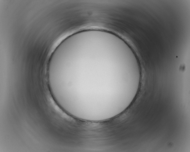 X0000113531382200909180950