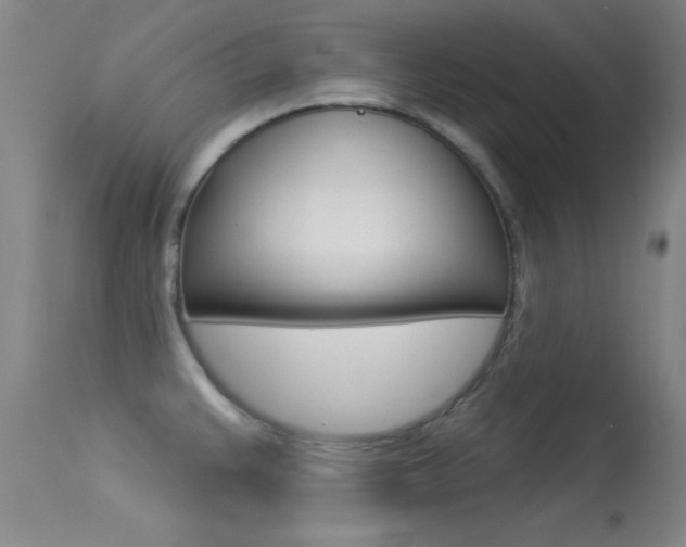X0000113531383200909180950