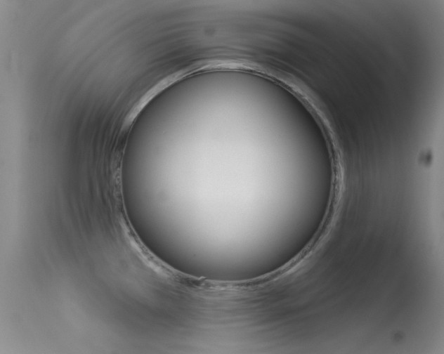 X0000113531385200909180950