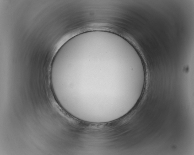 X0000113531386200909180950