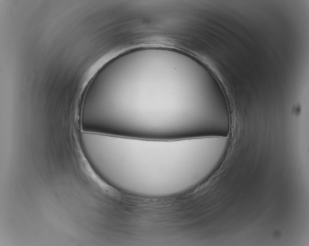 X0000113531387200909180950