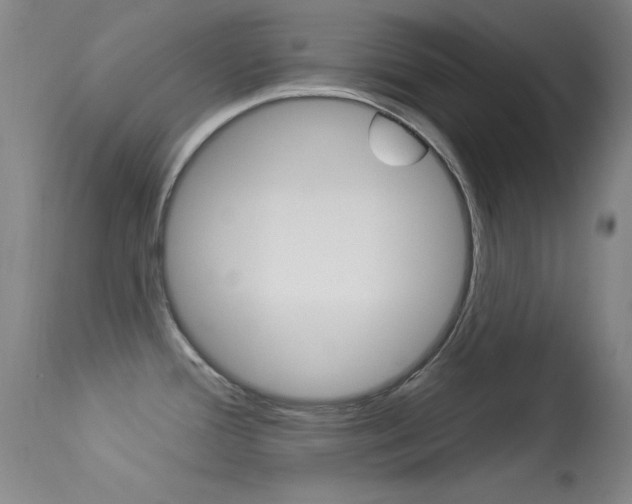 X0000113531388200909180950