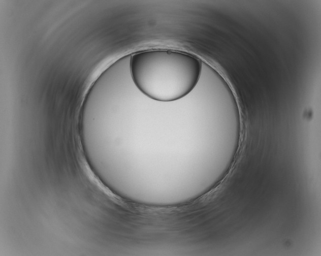 X0000113531389200909180950