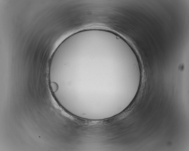 X0000113531390200909180950