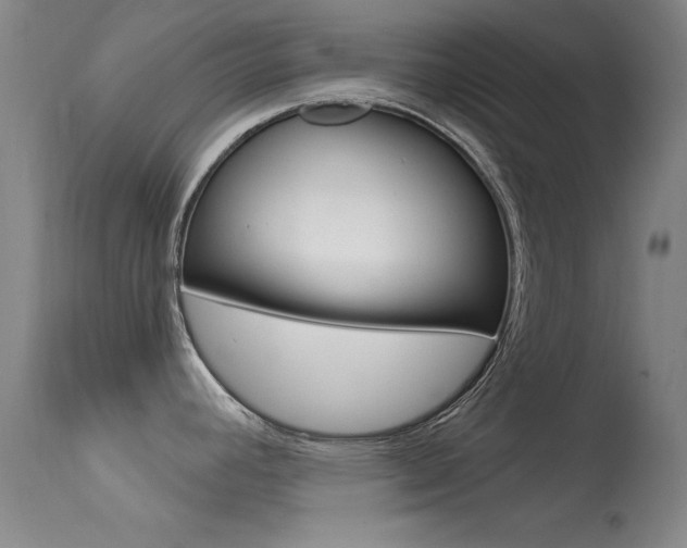 X0000113531392200909180950