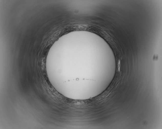X0000113531395200909180949