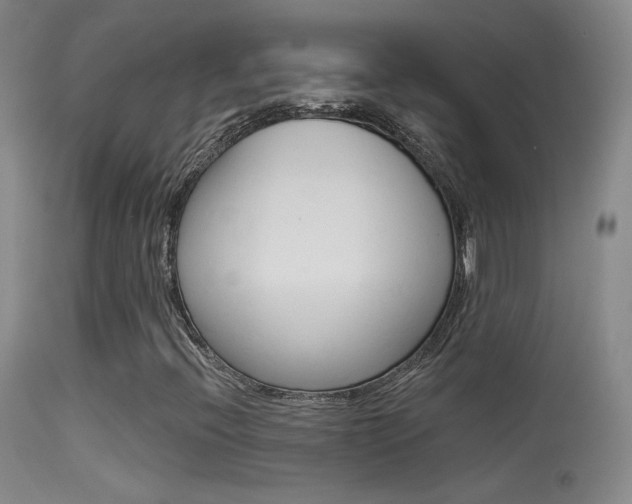 X0000113531396200909180949