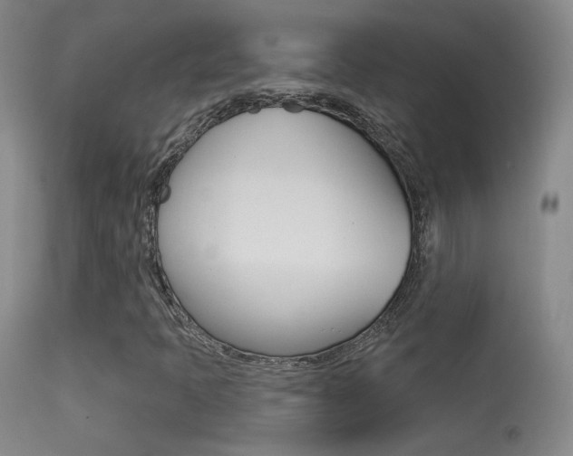 X0000113531397200909180949