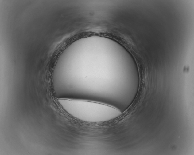 X0000113531398200909180949