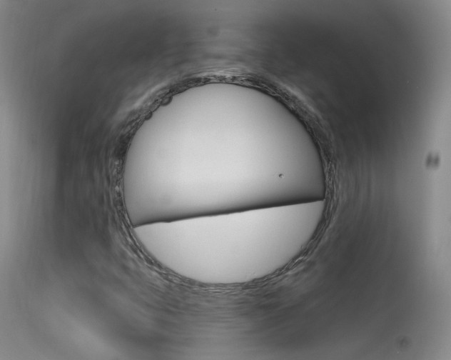 X0000113531399200909180949
