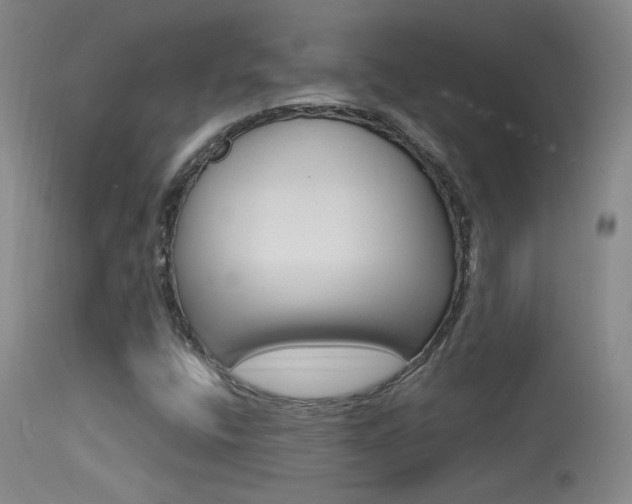 X0000113531400200909180949