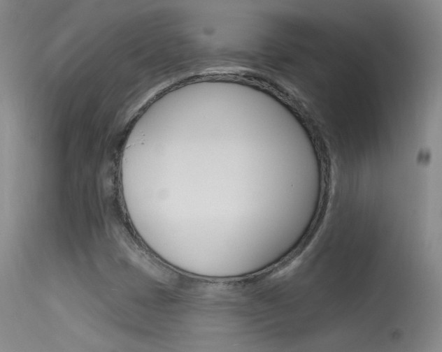 X0000113531401200909180949