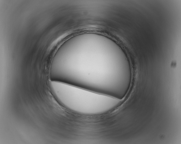 X0000113531402200909180949