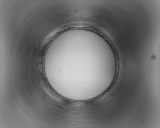 X0000113531403200909180949