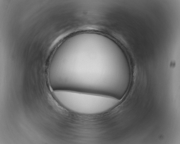 X0000113531404200909180949