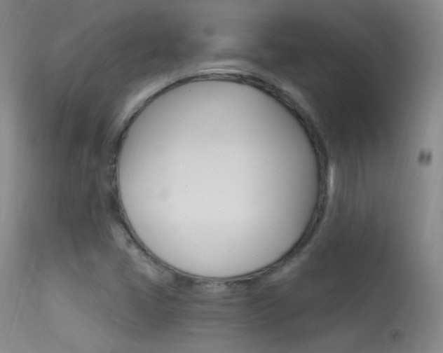 X0000113531405200909180949