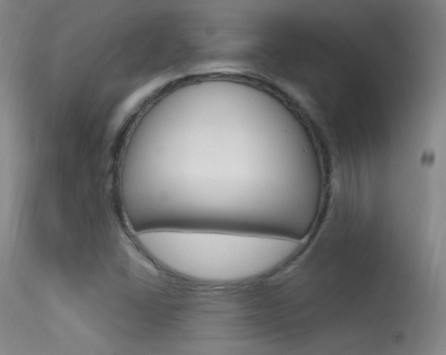 X0000113531406200909180949