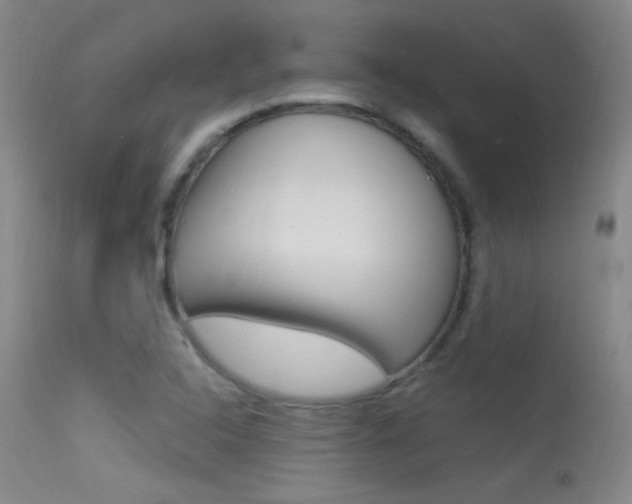 X0000113531408200909180949