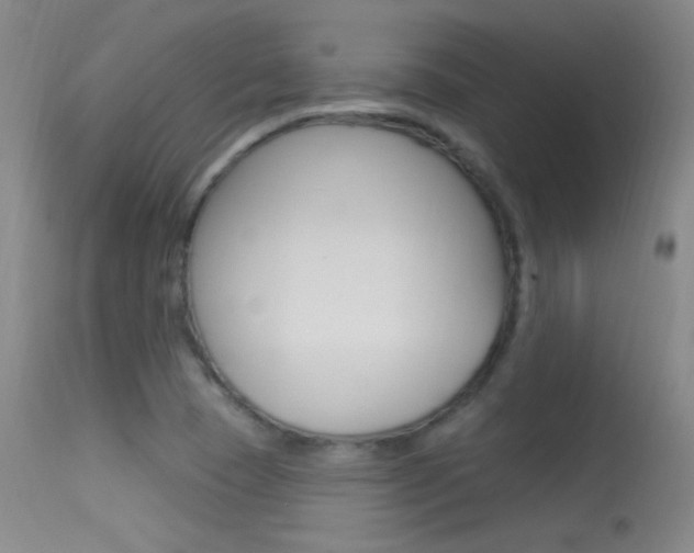 X0000113531409200909180949