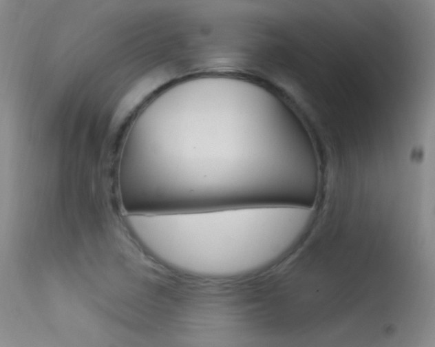 X0000113531410200909180949