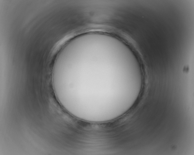 X0000113531411200909180949
