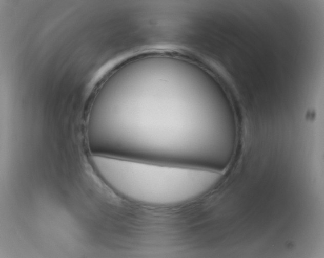 X0000113531412200909180949