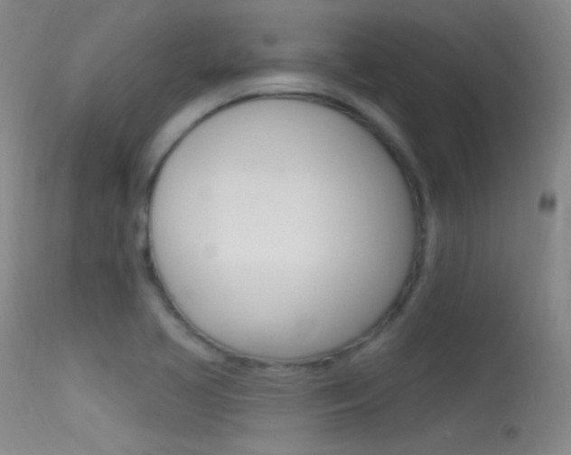 X0000113531413200909180949