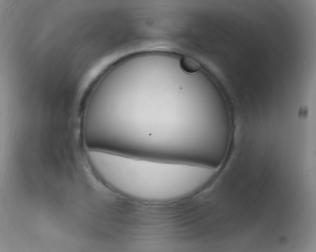 X0000113531414200909180949