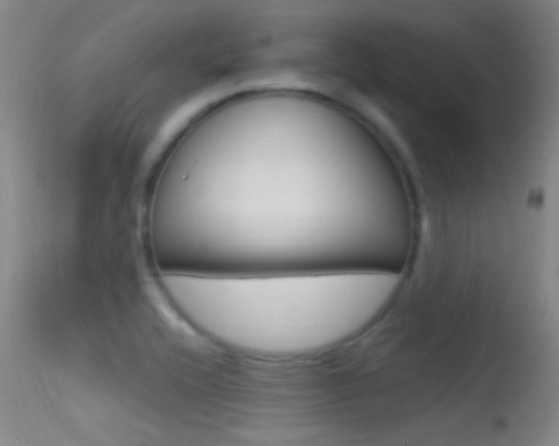 X0000113531416200909180949