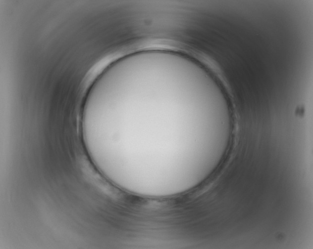 X0000113531419200909180949